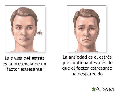 Ansiedad y estres: ¿son lo mismo?