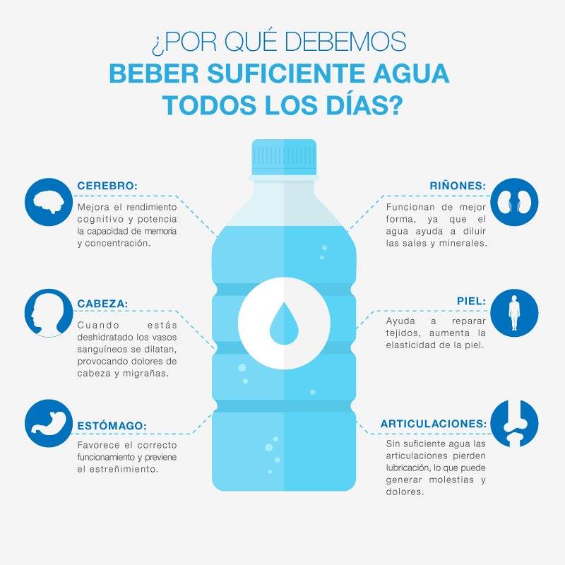 Buena hidratación, buena salud