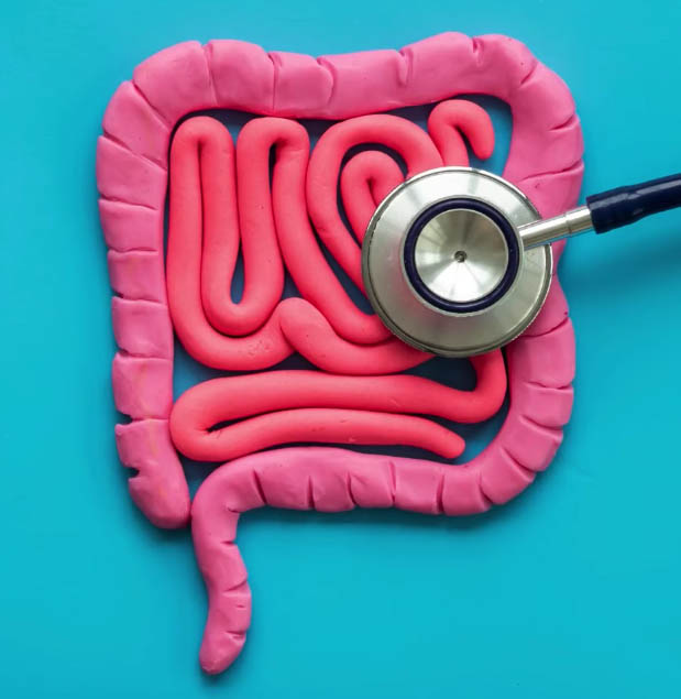 Cirugía bariátrica y microbiota intestinal: la relación clave para el éxito