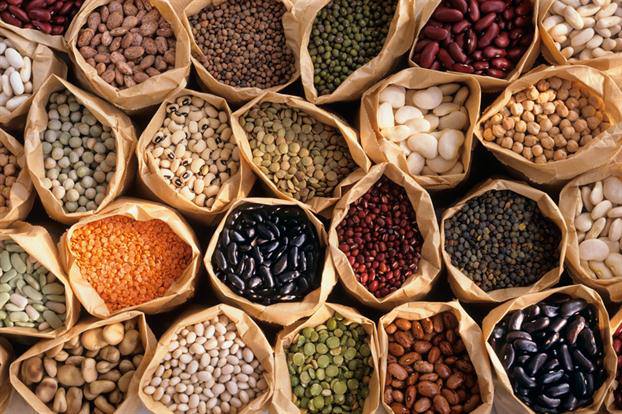 Conocé las propiedades y los nutrientes de las legumbres 