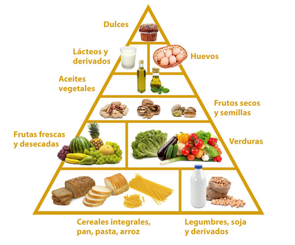 Dieta ovolacto vegetariana despues de un by pass gástrico