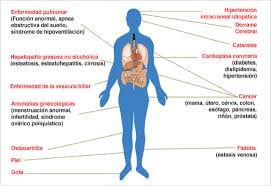 Enfermedades asociadas al sobrepeso y la obesidad
