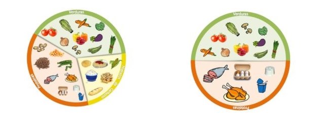 Equilibrio en el plato tras una cirugía bariátrica