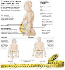 El perímetro de la cintura indica riesgo cardiovascular incluso con IMC normal
